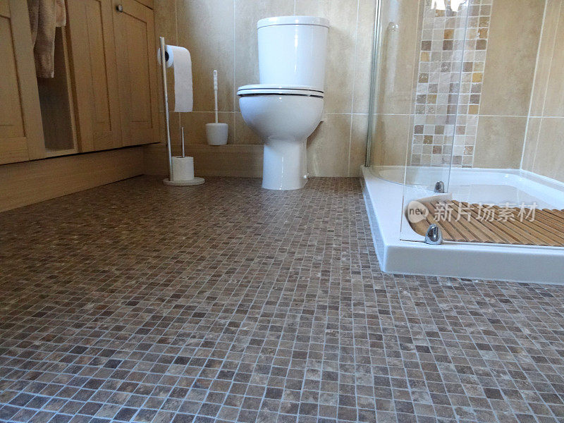 浴室/淋浴间带有卫生间，马赛克乙烯基地板